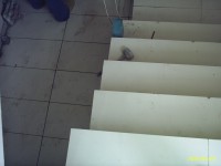 /album/foto%c4%9fraflar%3a-anasayfa1/pic-0019-jpg/